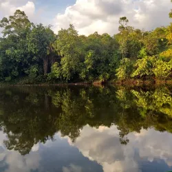 Kampong Belalong Rainforest - Bangar