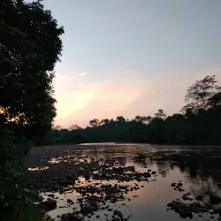 Kampong Belalong Rainforest - Bangar