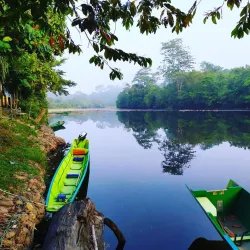 Kampong Belalong Rainforest - Bangar