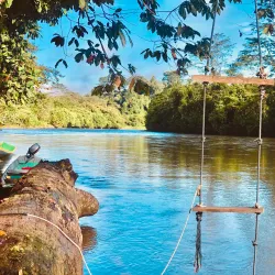 Kampong Belalong Rainforest - Bangar