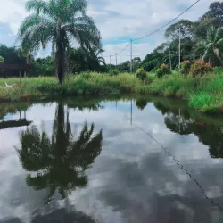 Temburong Longhouse - Bangar