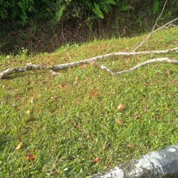 Temburong Longhouse - Bangar