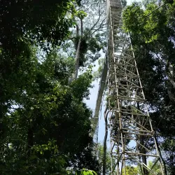 Temburong River - Bangar