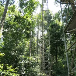 Temburong River - Bangar