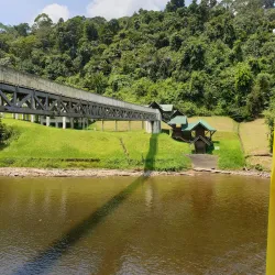 Temburong River - Bangar