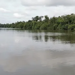 Temburong River - Bangar