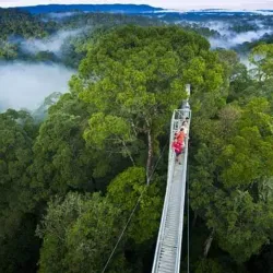 Ulu Temburong National Park - Bangar