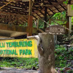 Ulu Temburong National Park - Bangar