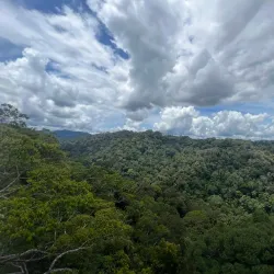 Ulu Temburong National Park - Bangar