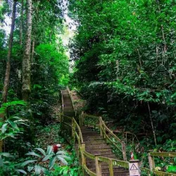 Ulu Temburong National Park - Bangar