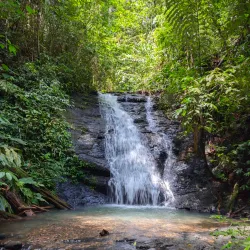 Ulu Temburong National Park - Bangar