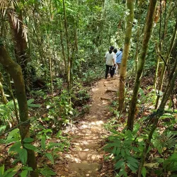 Ulu Ulu National Park Resort - Bangar