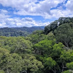 Ulu Ulu National Park Resort - Bangar