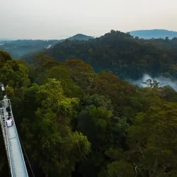 Ulu Ulu National Park Resort - Bangar