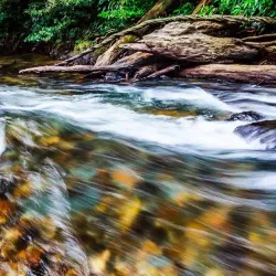 Ulu Ulu National Park Resort - Bangar