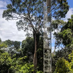Ulu Ulu National Park Resort - Bangar