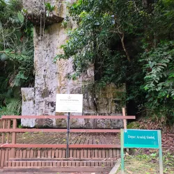 Tasek Lama Recreational Park - Gadong A