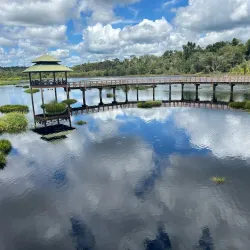 Labi Forest Reserve - Kuala Belait