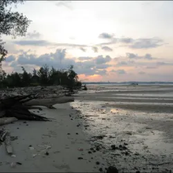Pulau Muara Besar - Muara