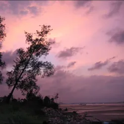 Pulau Muara Besar - Muara