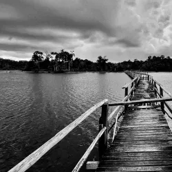 Tasek Merimbun Heritage Park - Muara