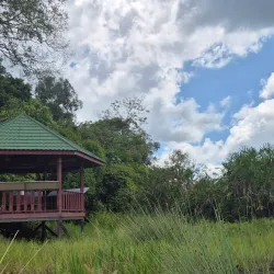 Tasek Merimbun Heritage Park - Muara