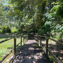 Tasek Merimbun Heritage Park - Muara