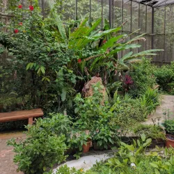 Tasek Merimbun Heritage Park - Muara