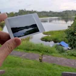 Tasek Merimbun Heritage Park - Muara