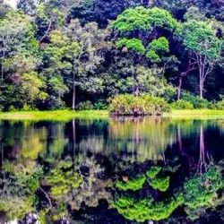 Tasek Merimbun Heritage Park - Muara