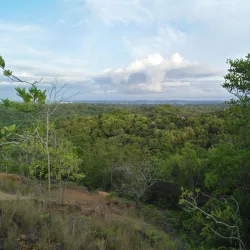 Bukit Shahbandar - Sengkurong