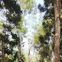 Bukit Shahbandar - Sengkurong