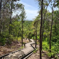 Bukit Shahbandar - Sengkurong