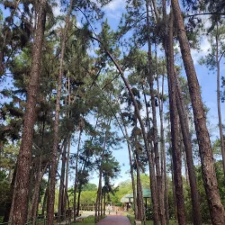 Bukit Shahbandar - Sengkurong
