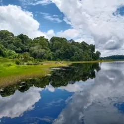 Tasek Merimbun Heritage Park - Tutong