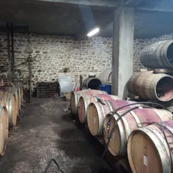 Asenovgrad Wine Cellars - Asenovgrad