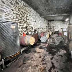 Asenovgrad Wine Cellars - Asenovgrad