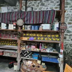 Asenovgrad Wine Cellars - Asenovgrad