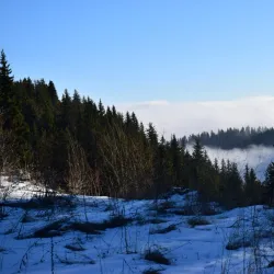 Rhodope Mountains - Asenovgrad