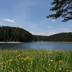 Rhodope Mountains - Asenovgrad