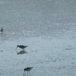 Lake Atanasovsko - Burgas