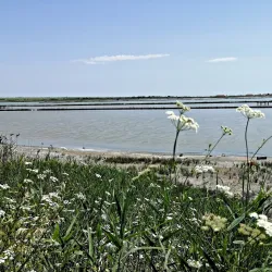 Lake Atanasovsko - Burgas