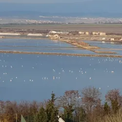 Lake Atanasovsko - Burgas