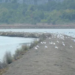 Lake Atanasovsko - Burgas