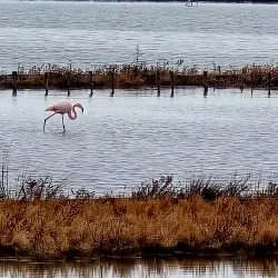 Lake Atanasovsko - Burgas