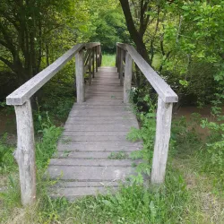 Beli Lom River - Dimitrovgrad