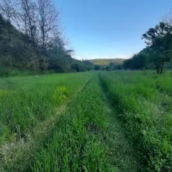 Beli Lom River - Dimitrovgrad