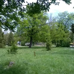 Central Park Dimitrovgrad - Dimitrovgrad