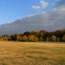 Dimitrovgrad Sports Complex - Dimitrovgrad