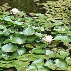 Nature Trails around Dimitrovgrad - Dimitrovgrad